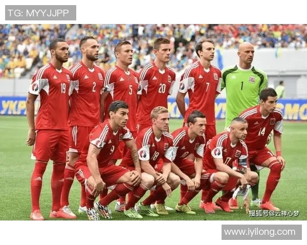 北爱尔兰与荷兰足球对决全方位分析及赛前预测